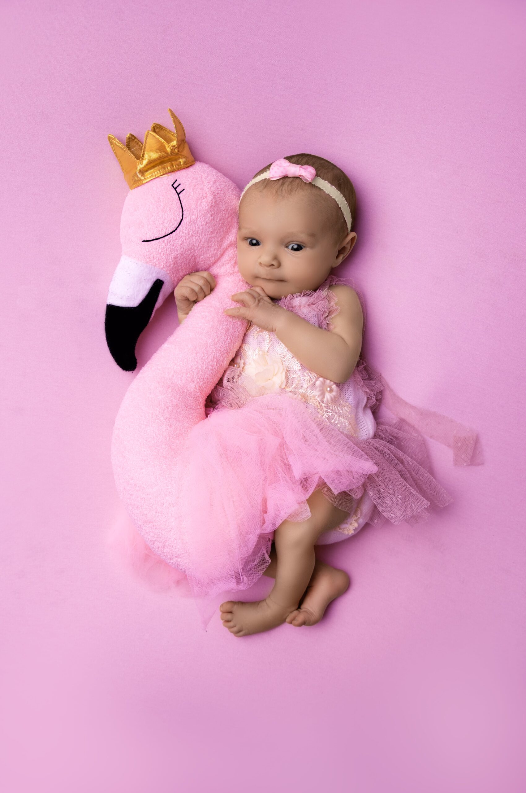 newborn photography near me